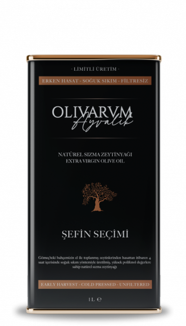 1lt-sefin-secimi